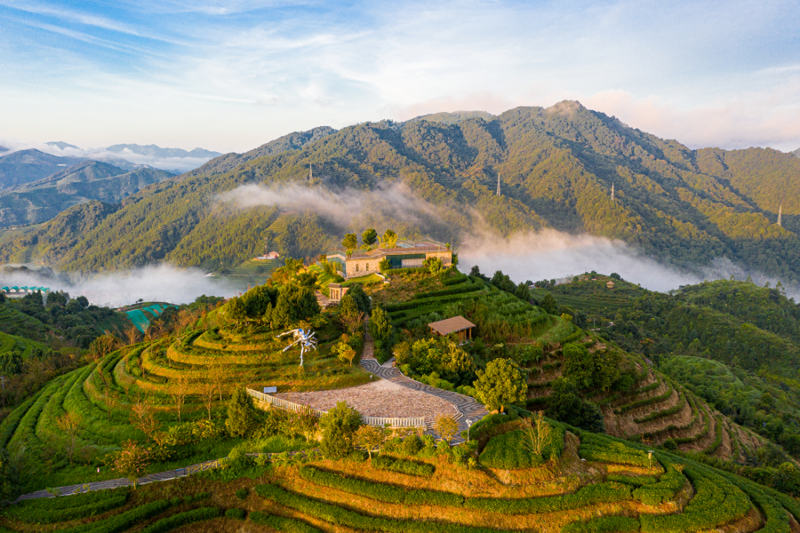 高峰谷简介图片